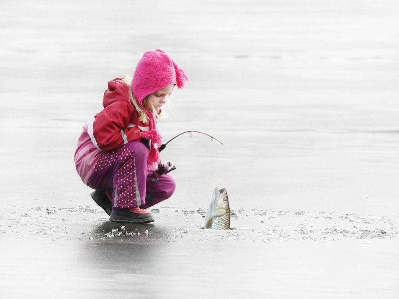 Discover ice fishing live game